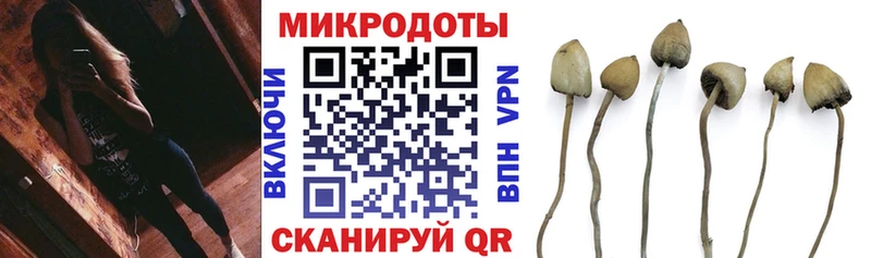 дарнет шоп Кизилюрт Псилоцибиновые грибы мицелий